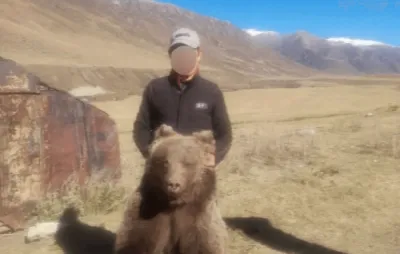 В Курагинском районе медведь напал на троих мужчин, те еле отбились от  хищника - 15 августа 2023 - НГС24