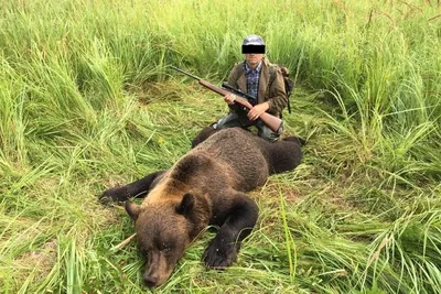 Хвастался, что завалил»: браконьера выдал снимок с мертвым медведем в  WhatsApp - KP.RU