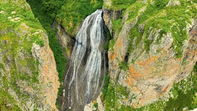 Территория чистой воды » Удивительная красота моря и его обитателей