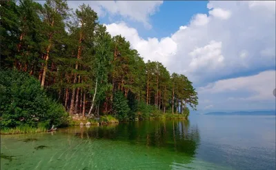 Территория чистой воды » Удивительная красота моря и его обитателей