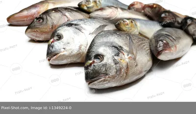 На Херсонщине поймали двух браконьеров с крупным уловом рыбы
