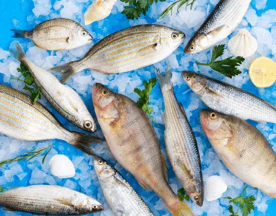 Американские ученые заявляют, что улова рыбы не хватит, чтобы накормить  растущее население - Индикатор