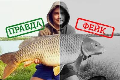 Улов рыбы уменьшился на 14,5% - Delfi RUS