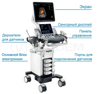 Лучшие аппараты УЗИ: на какую цену ориентироваться при покупке? | VENDEM