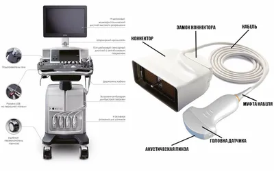 УЗИ аппарат Mindray MX7 (2146B-PA00232) | Портативный УЗИ аппарат Mindray  Medical MX7 купить по цене 1 331 100 руб. в городе Москва