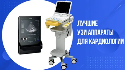 УЗИ аппарат Mindray Z60 Vet - портативный сканер с цветным допплером,  купить с доставкой по Москве и РФ