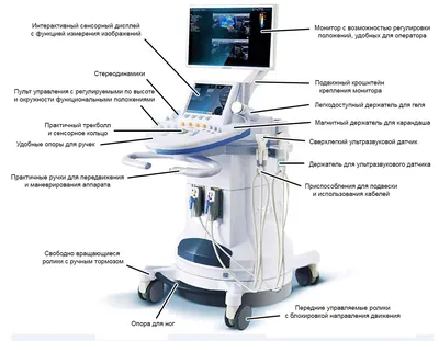 Рейтинг лучших УЗИ аппаратов для кардиологии - ТОП 10 в 2023 году