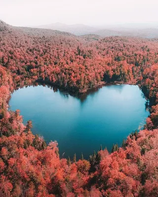 Ластик фигурный, в форме сердца, разборный, 5х3х1см, ТПР, 3 цвета купить по  низкой цене - Галамарт