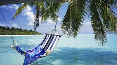 Скачать обои море, пальмы, гамак, раздел пейзажи в разрешении 1920x1080 |  Тропический пляж, Места для отдыха, Пляжные фото