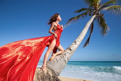 летнее платье на море и отдых Albisara 153976901 купить за 1 820 ₽ в  интернет-магазине Wildberries