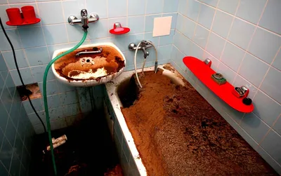 Мыльница для ванной и кухни со сливом воды в форме лепестка Зеленая  (ID#1863530069), цена: 60 ₴, купить на Prom.ua