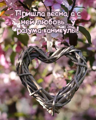Весна Любовь купить в Москве и по всей России - BilliardVIP