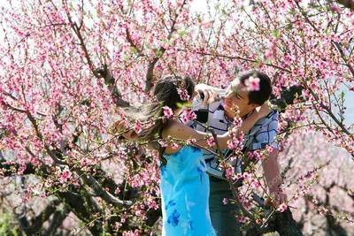 весна любовь, девушка, влюбленные, влюбленные в цветущем саду без лиц,  свадебный, Свадебный фотограф Москва