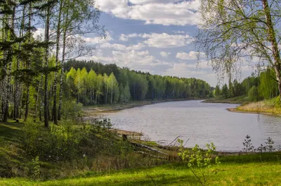 Весна в лесу — Фото №141303