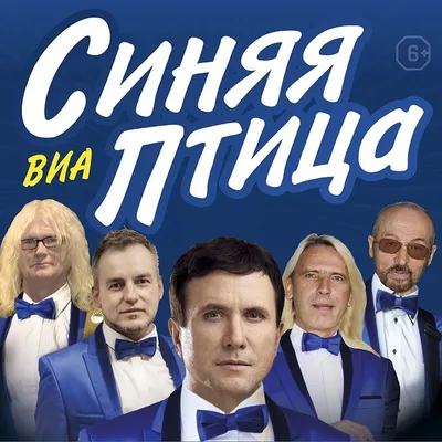 Легендарный ВИА «Синяя Птица» даст концерт во Владивостоке 17 октября -  KP.RU