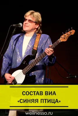Концерт — ВИА «Синяя птица» | ВКонтакте