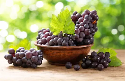 Виноград: польза и вред, советы врачей | РБК Life