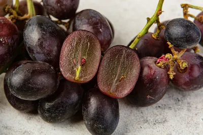 Изучаем сорта винограда: от Дона до Крыма — новости и статьи АСТ-Интер
