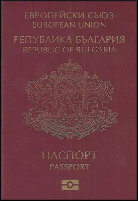 Виза в Болгарию для Казахстанцев в 2023 году: нужна ли виза, цена,  получение Шенген, визы D, оформление