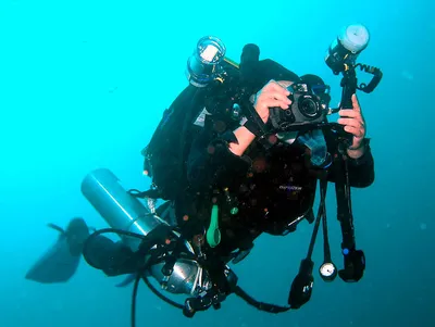 водолаз под водой невесомый Стоковое Фото - изображение насчитывающей  коралл, подныривание: 10271356