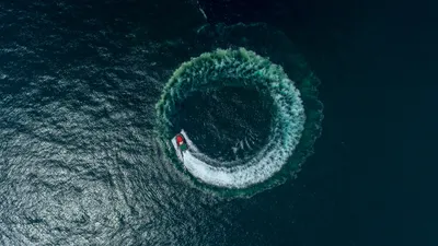 картинки : воды, организм, Морская биология, океан, Подводный, Обои для рабочего  стола компьютера, Земля, море 5446x3060 - - 1547979 - красивые картинки -  PxHere