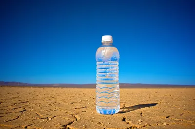 Благодаря ядерным методам стало известно, сколько воды вам стоит пить в  течение дня | МАГАТЭ
