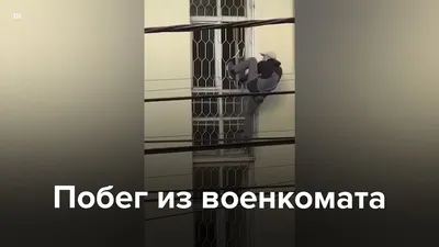 ВИДЕО) В Иркутской области РФ стреляли в начальника военкомата - Nokta