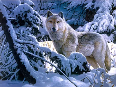 Купить картину Картина волки в зимнем лесу - Damina.plus