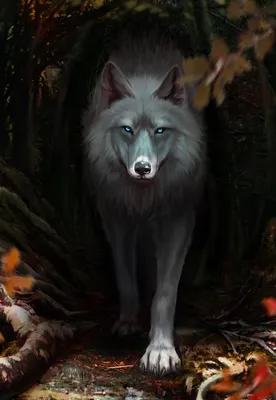 Волк в лесу в лесу | Премиум Фото