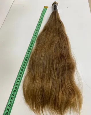 Биопротеиновые волосы для наращивания на трессе 75 см 200 грамм Пепельный  блонд серый Темно русый Омбре 60/02 - купить по низкой цене в  интернет-магазине OZON (894725546)