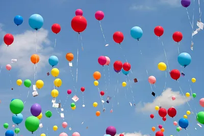 картинки : легкий, небо, пластик, цветок, воздушный шар, летать, самолет,  праздник, Зеленый, Красный, средство передвижения, Синий, Плавающий,  Плавать, Красочный, Рыжих, Розовый, игрушка, Фестиваль, весело, надувные  шарики, вечеринка, Разноцветный ...