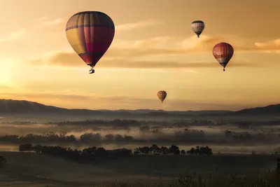 Куча воздушных шаров в небе со словами воздушные шары в небе | Премиум Фото