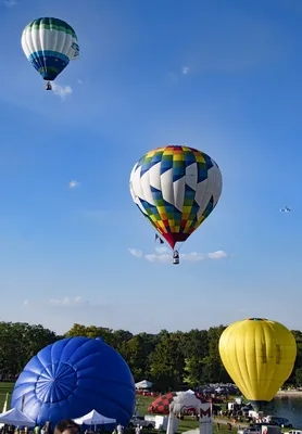В школах Подмосковья могут запретить запуск воздушных шаров и конфетти в  небо - В регионе - РИАМО в Щелкове
