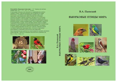 Паевский в а, вьюрковые птицы мира (1) by Елена Зубакина - Issuu