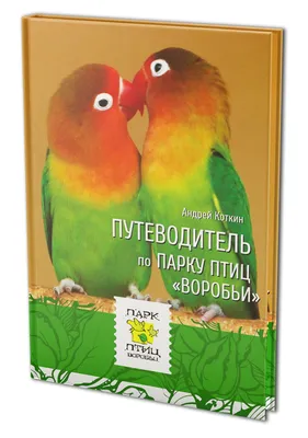 Центральные витрины. Птицы - Томский областной краеведческий музей