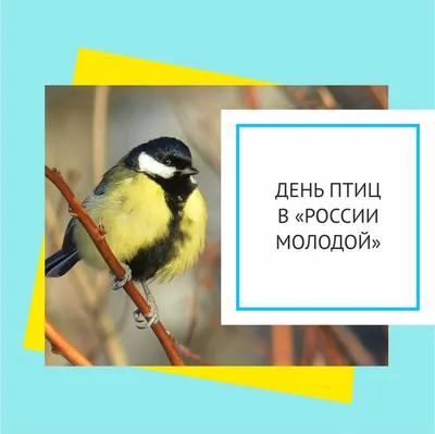 Книги для дошкольников птицы насекомые `Птички-невелички. Кто на свете  меньше всех?` (ID#1767962256), цена: 124 ₴, купить на Prom.ua