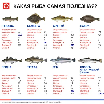 Мир для всех: люди и рыбы в гармонии на нашей планете» — создано в Шедевруме