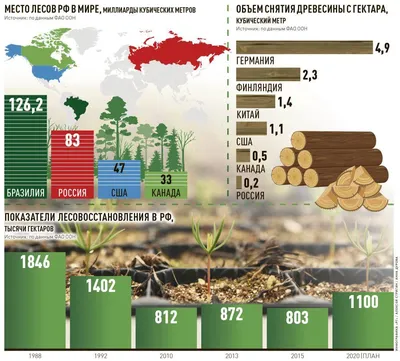 Вырубка леса в Украине упала на треть » Слово и Дело