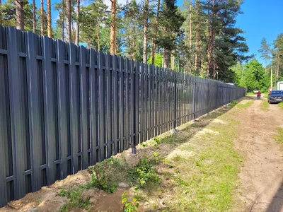 Горизонтальный забор из евроштакетника | цены на установку в  Санкт-Петербурге