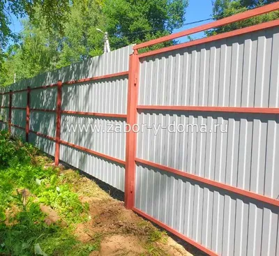 Забор из профлиста: заказать забор в СПб | Зеленый Забор