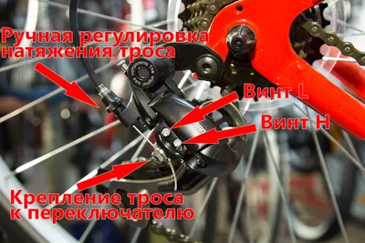 Обзор от покупателя на Переключатель задний SHIMANO Acera, M360, SGS,  7/8скоростей, черный — интернет-магазин ОНЛАЙН ТРЕЙД.РУ