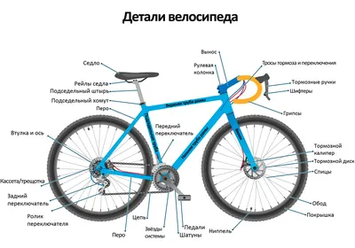 Защита заднего переключателя Stern черный цвет — купить за 159 руб. со  скидкой 20 %, отзывы в интернет-магазине Спортмастер