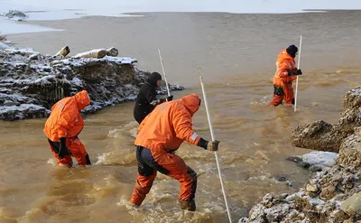 Последствия загрязнения воды