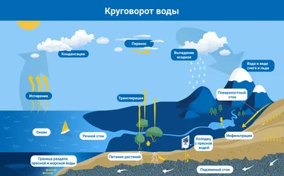 Росгидромет зафиксировал экстремальное загрязнение воды после ЧП в Сибири —  РБК