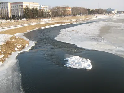 В Ростове создали программу для оценки загрязнения водоемов