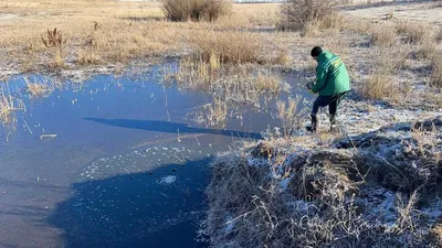 В Челябинской области нашли источник загрязнения воды целого города │  Челябинск сегодня