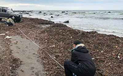 Море загрязнения воды отброса в Tondo, Филиппинах Редакционное Фото -  изображение насчитывающей напольно, материалы: 132046746