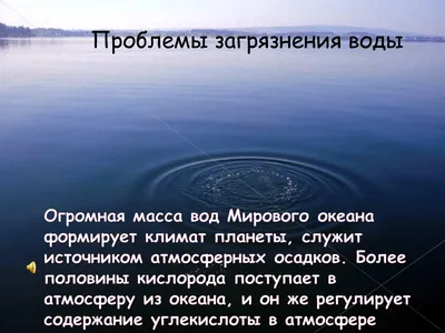 В РАН назвали причину загрязнения воды на Камчатке — РБК