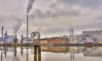 Причиной загрязнения воды на Камчатке ученые считают водоросли - Российская  газета