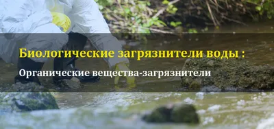 Основные источники загрязнения воды и способы ее очистки - Бізнес новини  Кам'янського